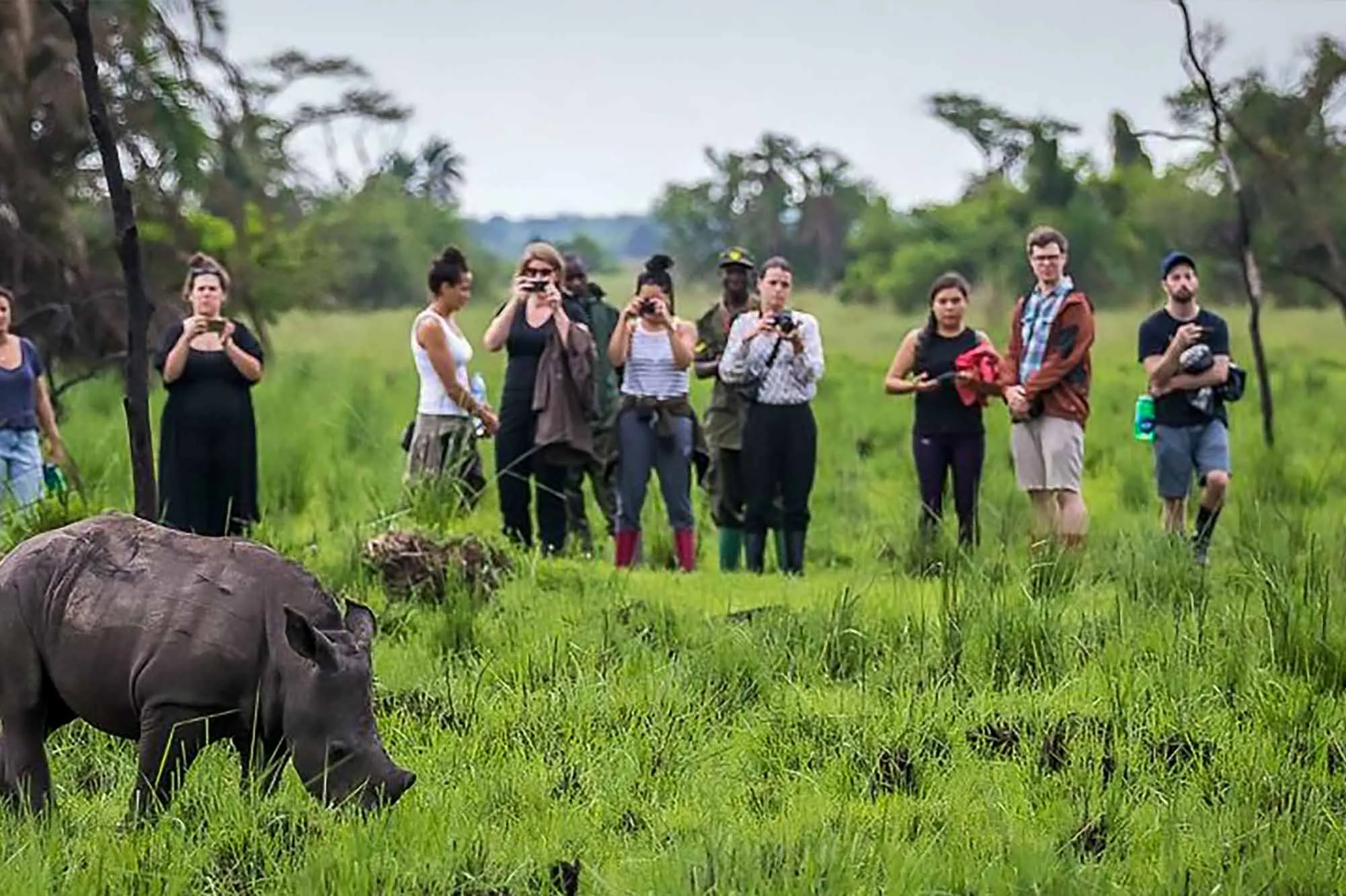 Nature Walk at Ziwa Rhino Sanctuary