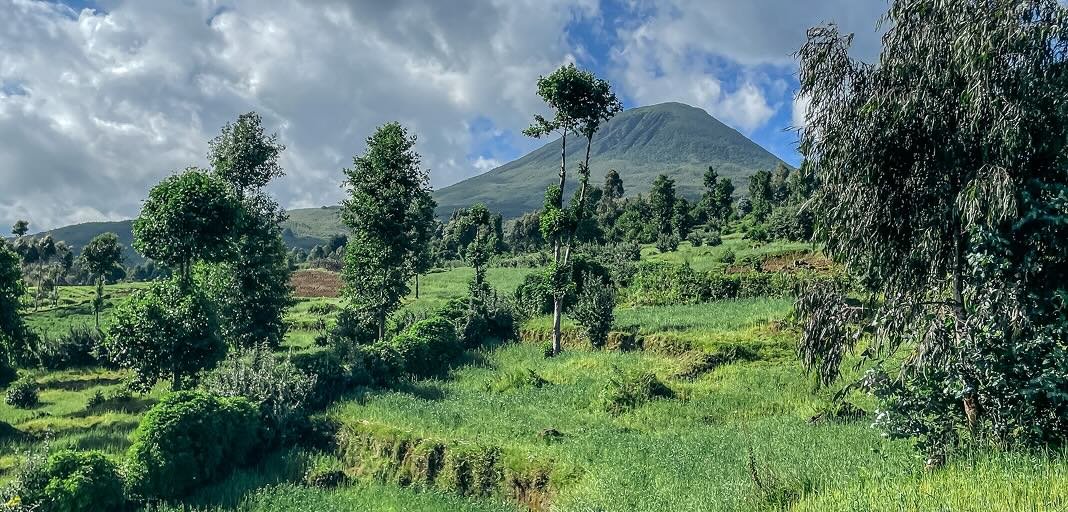 Rwanda Safari Safety and Travel