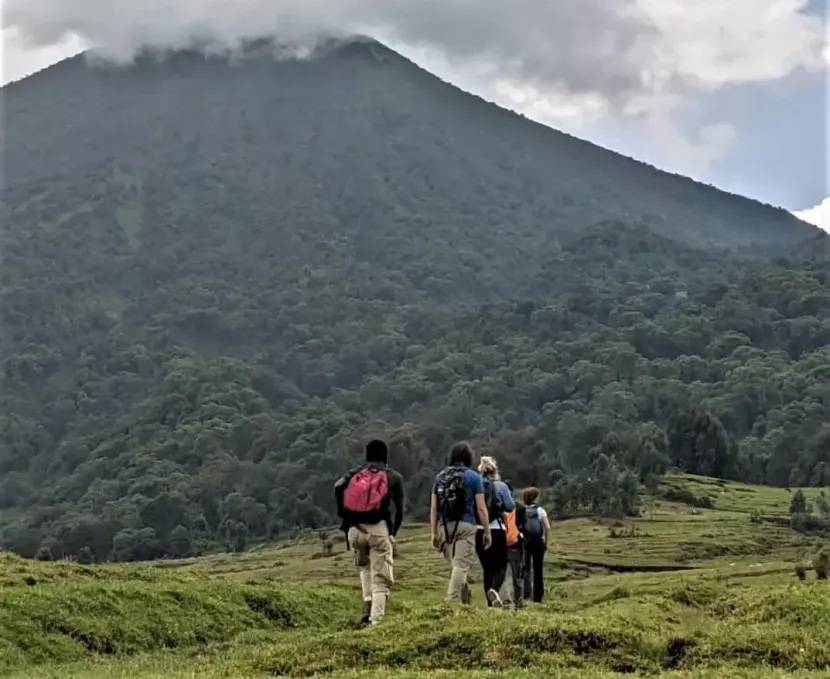 Things to Do in Volcanoes National Park Rwanda
