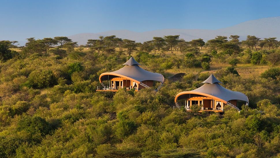 Luxury Safari Camp Experience