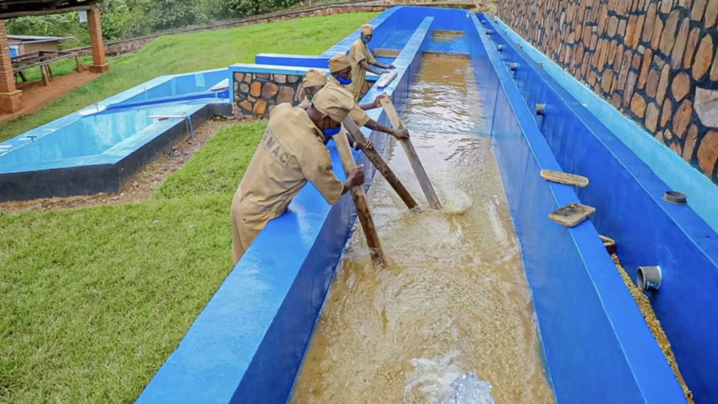 Coffee washing and processing station