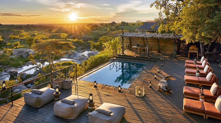 Luxury Mwiba Wildlife Reserve and Rwanda Gorilla Trekking Tour