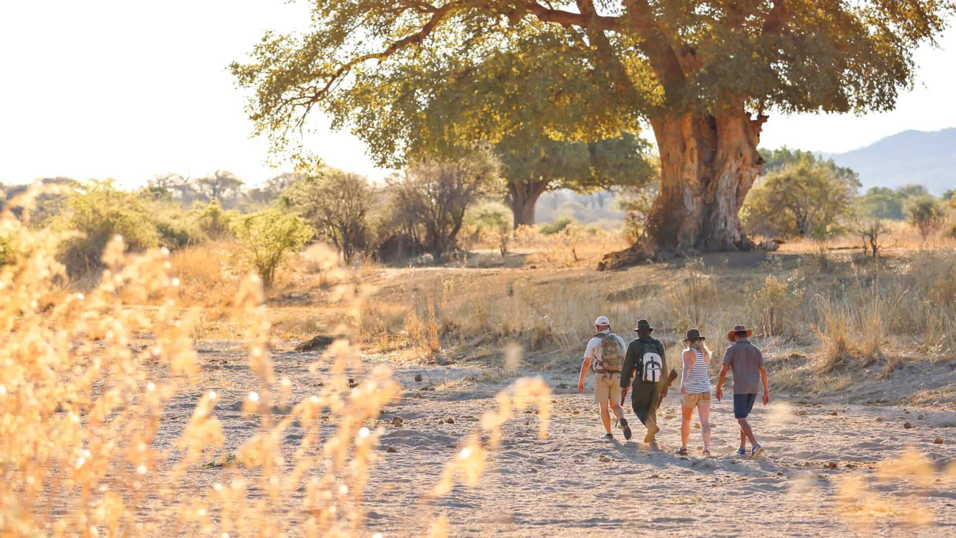 Luxury walking safari camp experience in Africa