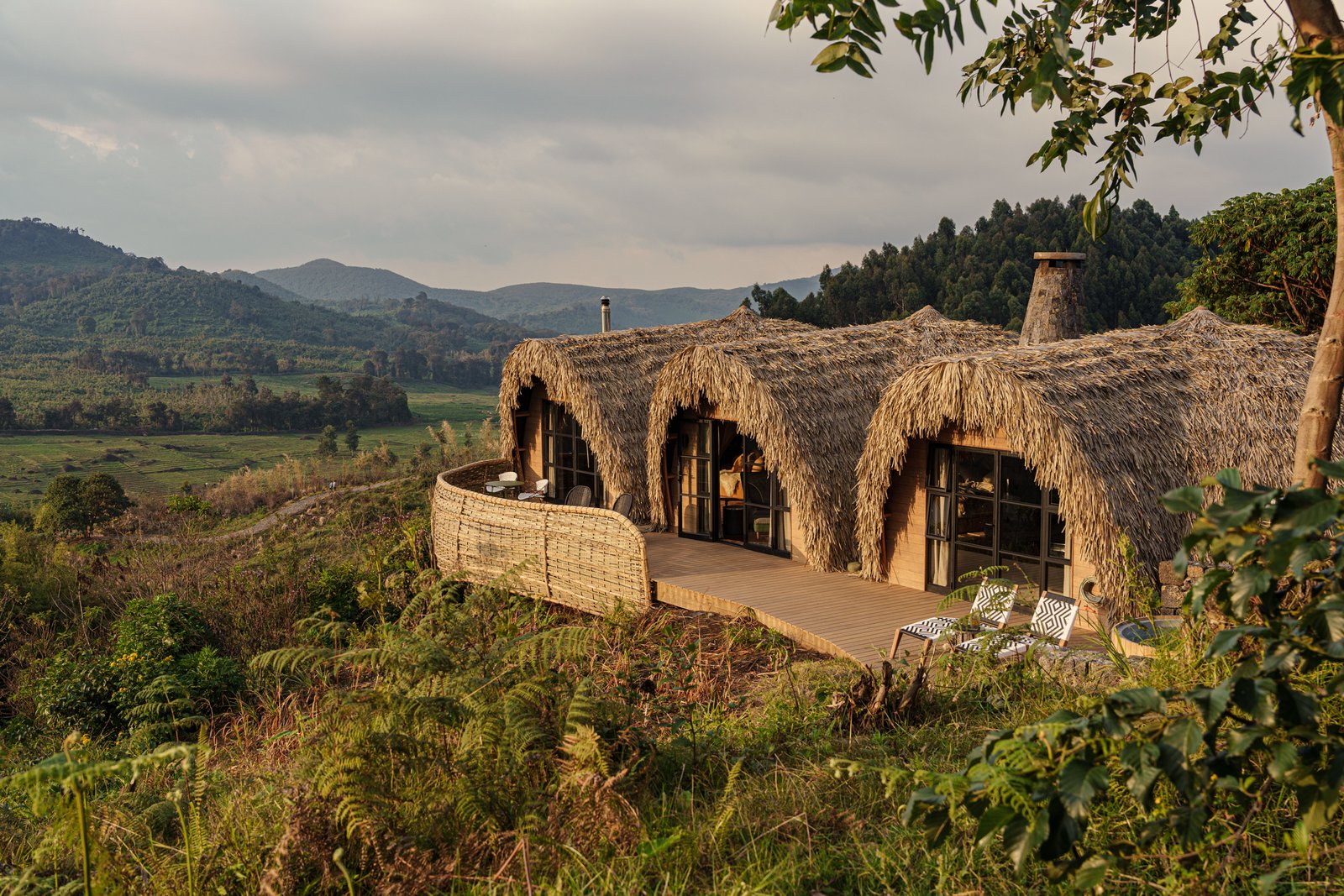 Discover Bisate Reserve Rwanda