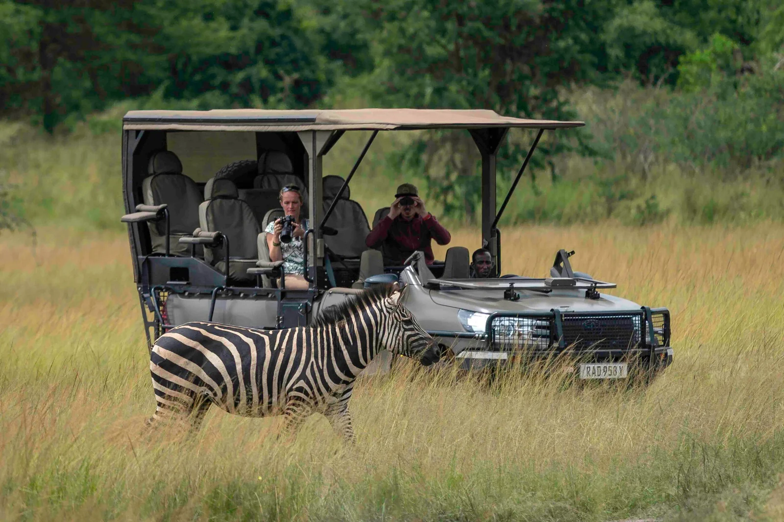 Game Drives at Wilderness Magashi Peninsula