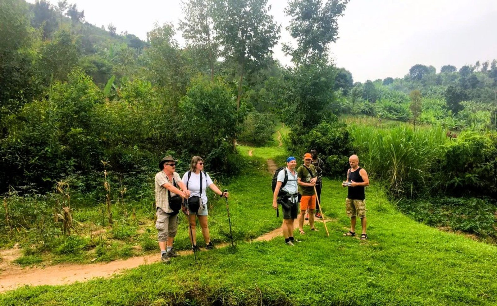 Gorilla trekking experience in Rwanda