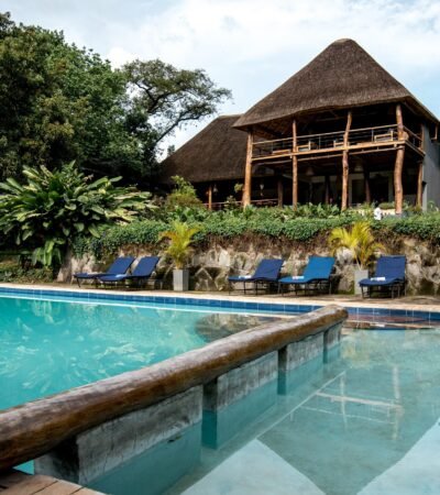 Turaco Treetops Swimming Pool in Kibale National Park Uganda