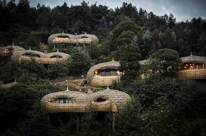 Rwanda Gorilla Safari Staying at Bisate Reserve