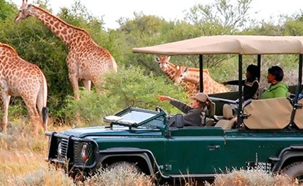 Wildlife Viewing in Akagera National Park