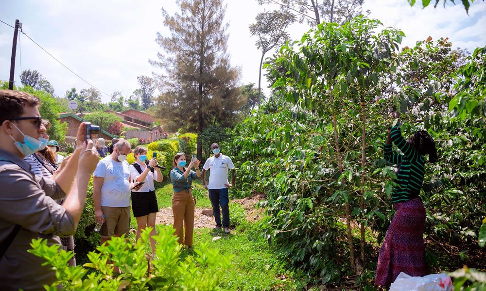 Coffee tour experience in Rwanda