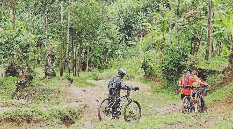 Cycling along the Congo Nile Trail in Rwanda