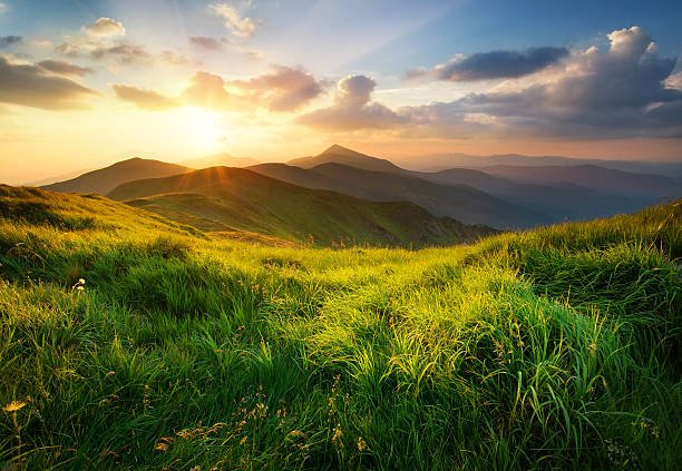 Rwanda Safari Experience