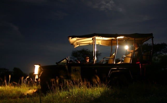 Night Drive Safari Experience