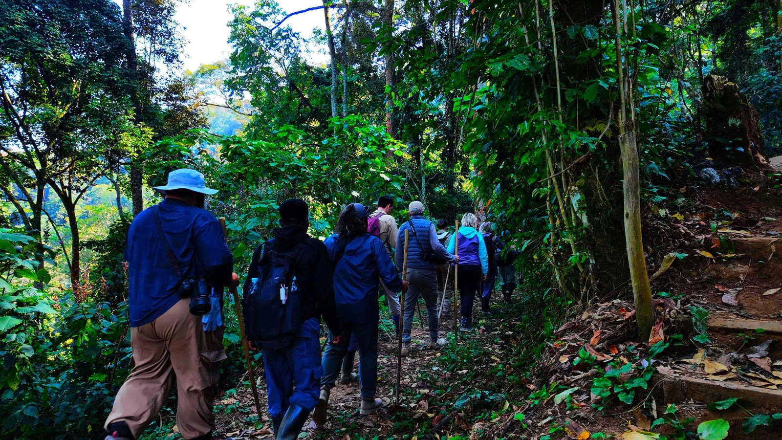 Outdoor hiking experience in Rwanda and Uganda
