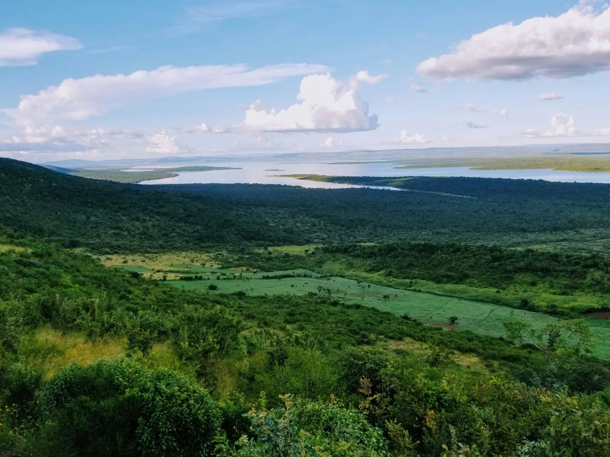 Rwanda landscape and safari scenery