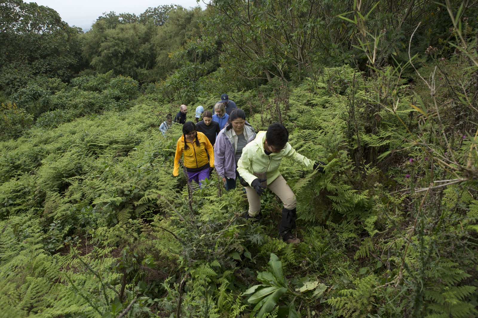 Hiking adventure in Rwanda
