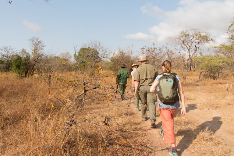 Rwanda walking safari experience
