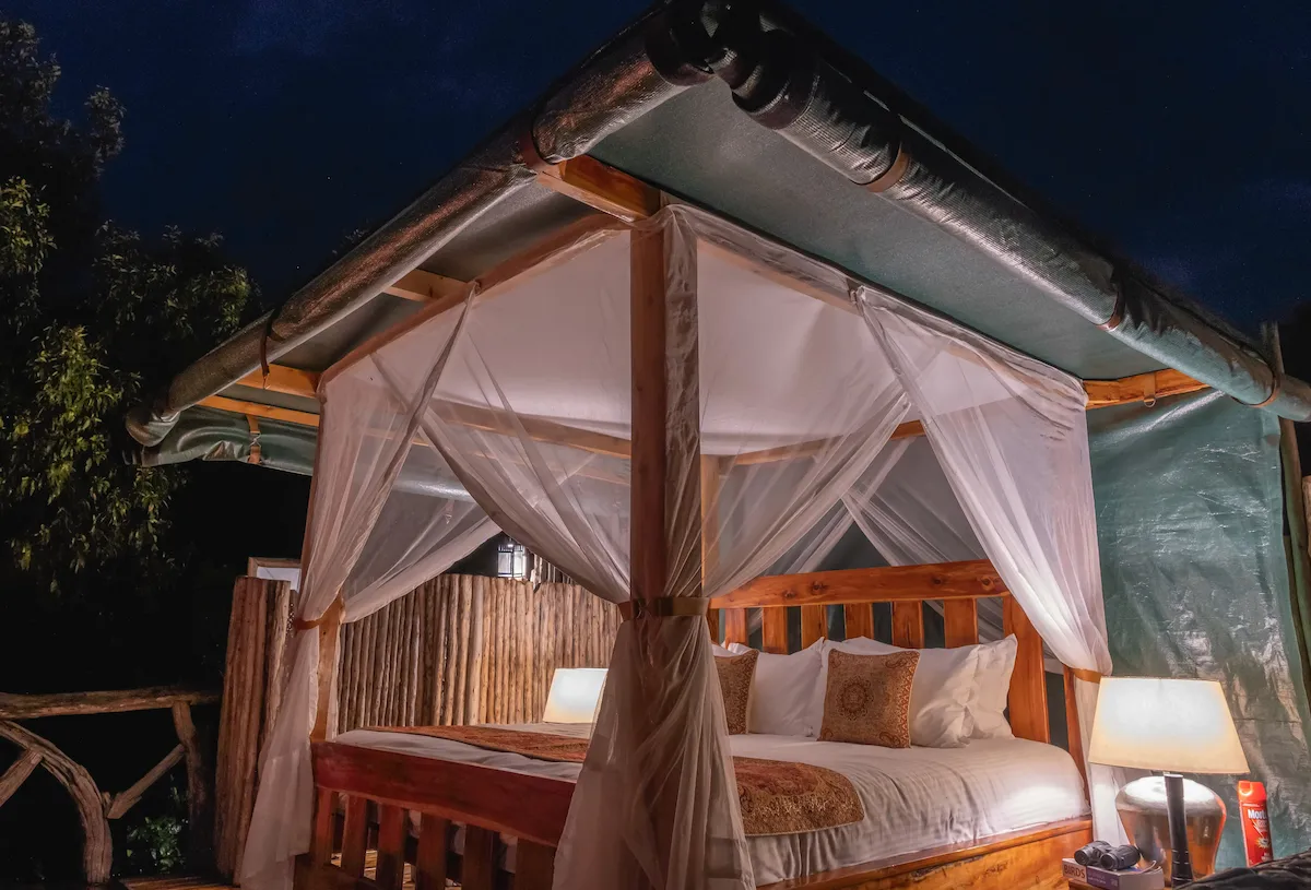 Starbed Night Experience