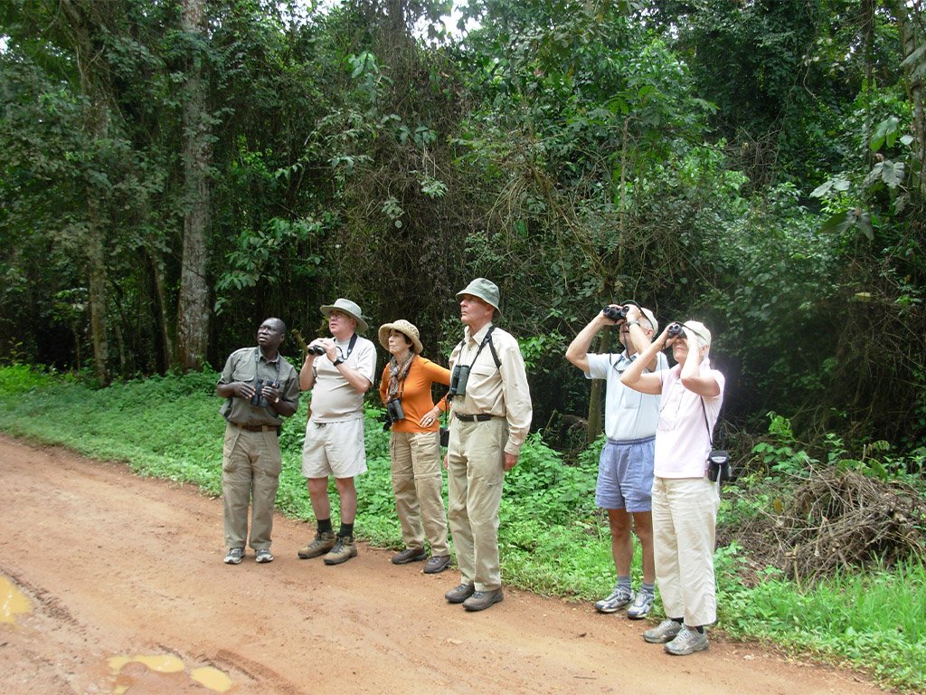 Birding experience in Uganda