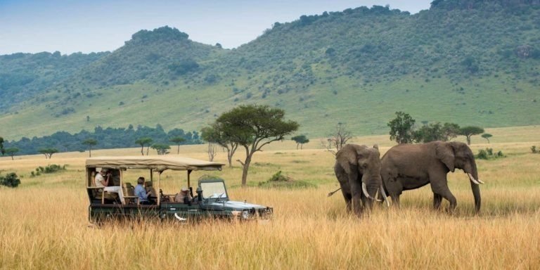 Kenya Tanzania safari adventure exploring East African wildlife destinations and spectacular landscapes