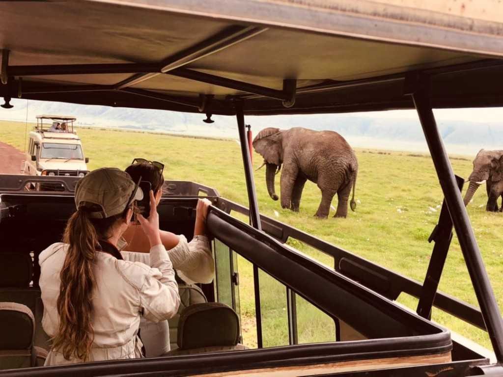 Uganda game drive safari experience