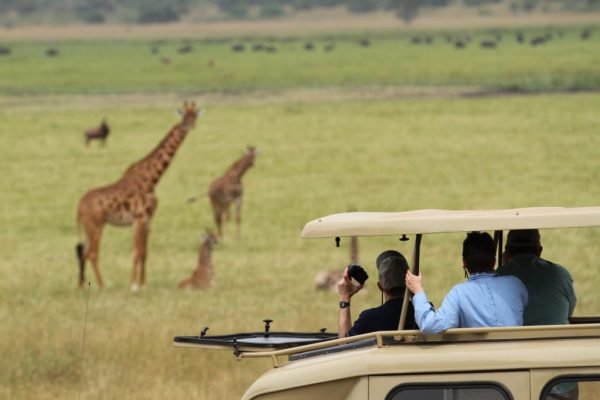 Affordable Family Rwanda Safaris