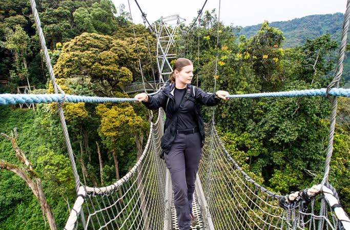 Canopy Walk in Nyungwe Forest National Park