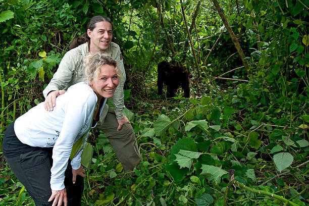 Luxury Gorilla Safari Packages 2026