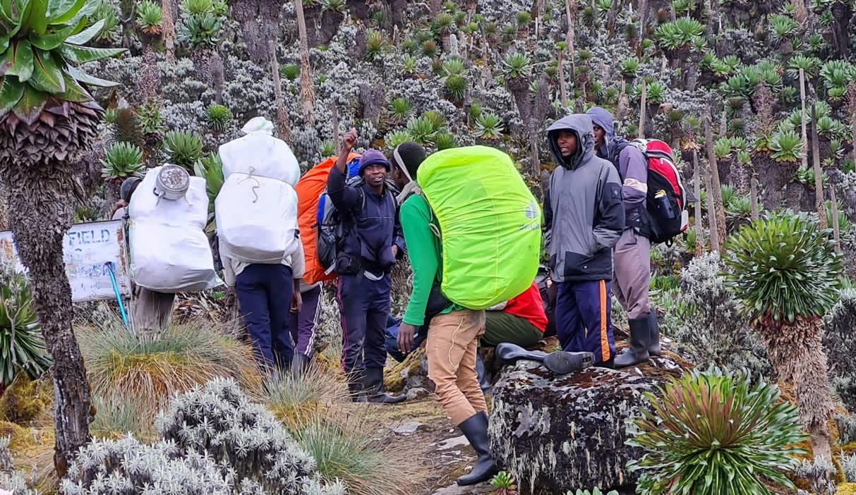 Luxury Gorilla Trekking for Seniors with Porters