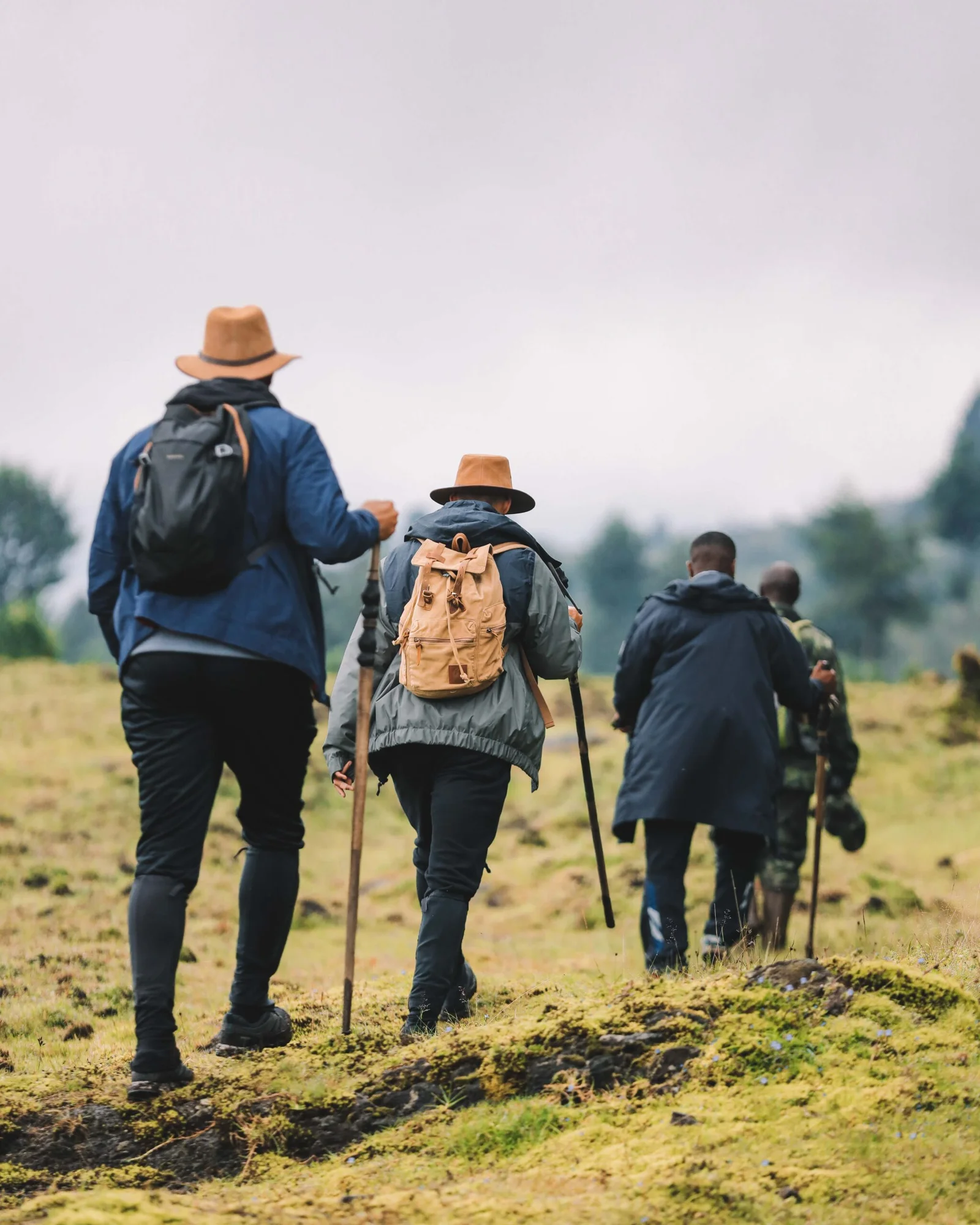 Luxury Rwanda Safari Tours
