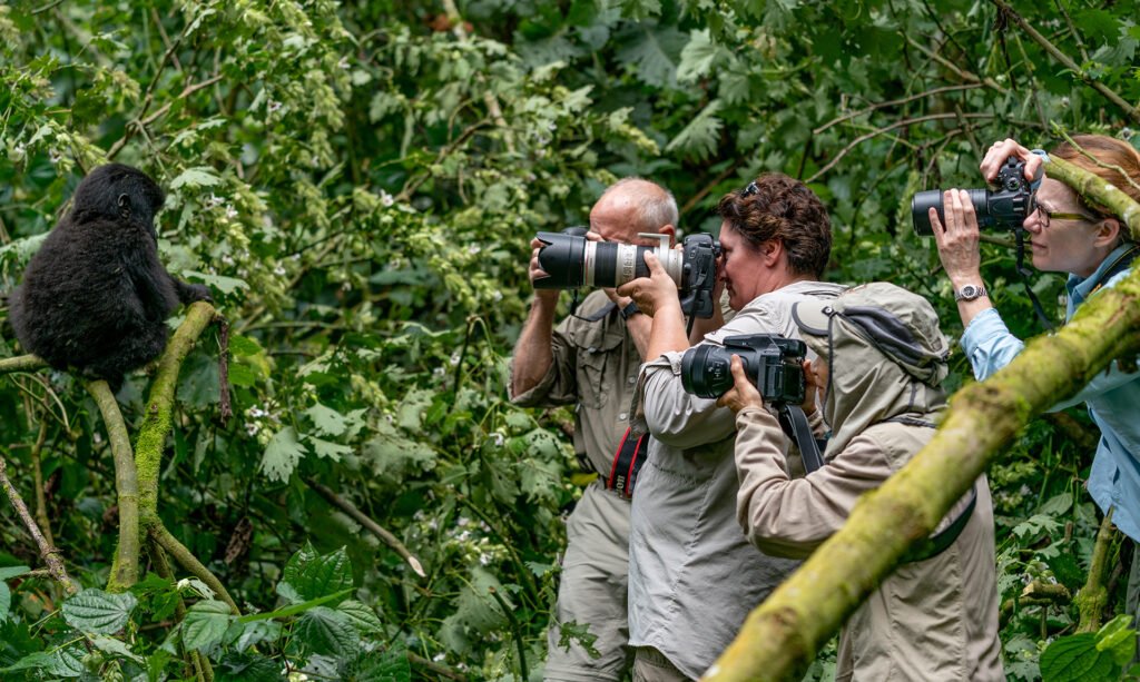 Rwanda Safaris for Photographers is particularly rewarding because the scenery changes dramatically between destinations.