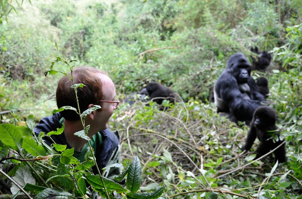 Cost of a 6 Day Primates and Game Luxury Safari in Rwanda