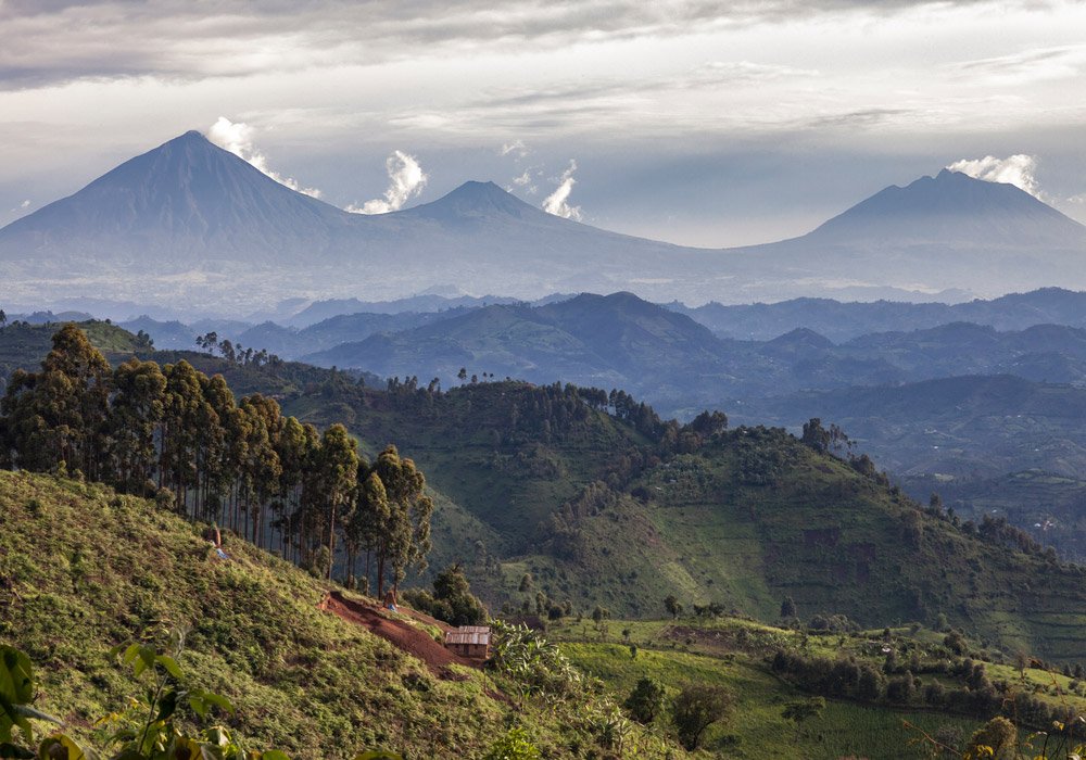 Volcanoes National Park Guide provides everything travellers need to know before visiting one of Rwanda’s most remarkable natural destinations