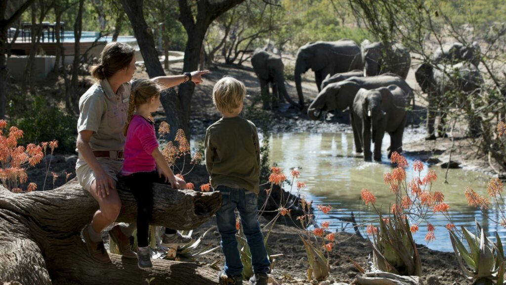 A Luxury Christmas Safari in Rwanda offers an extraordinary way to celebrate the festive season through world-class wildlife experiences, elegant accommodation, personalised services, and unforgettable moments in one of Africa’s most beautiful destinations