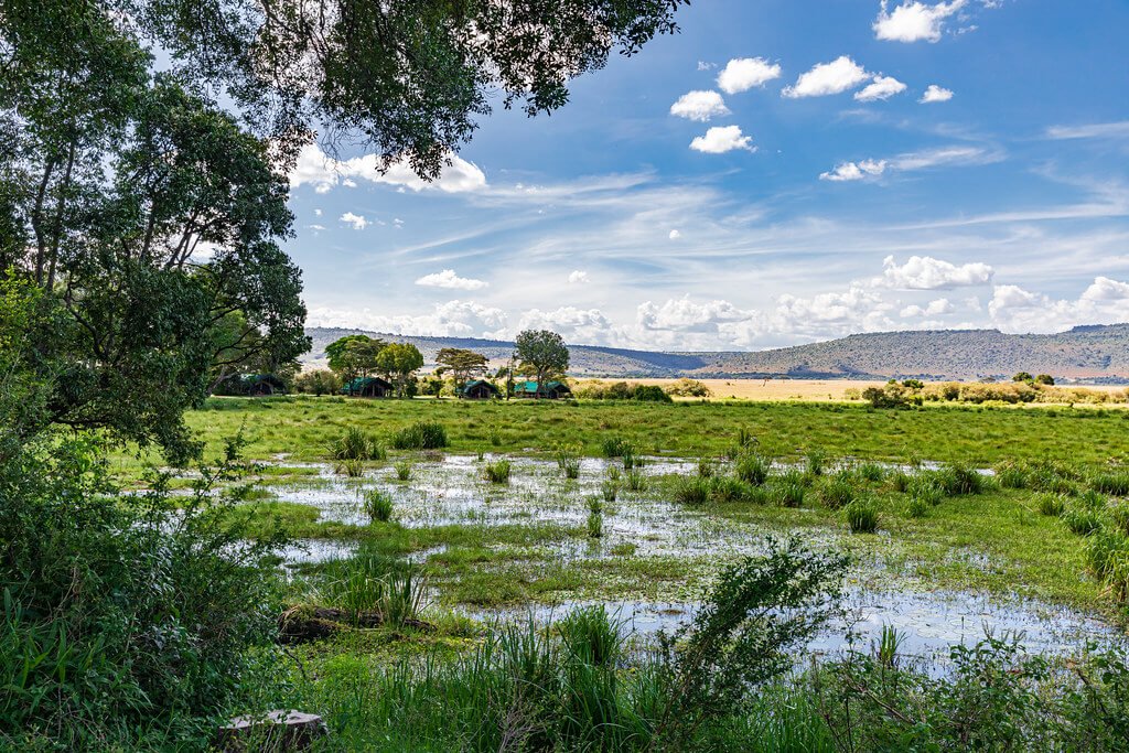 Rwanda Family Tours safari and travel photograph