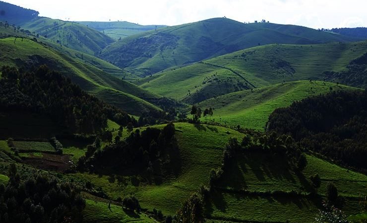 Rwanda Family Tours nature and travel photograph
