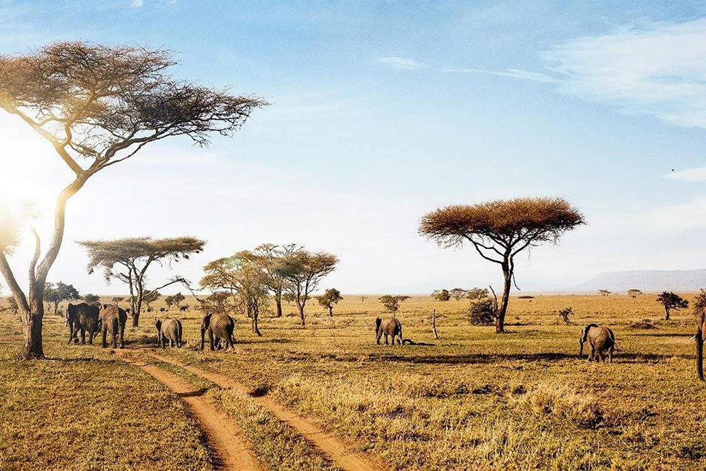 Luxury safari in Tanzania featuring exclusive wildlife experiences and premium African safari holidays