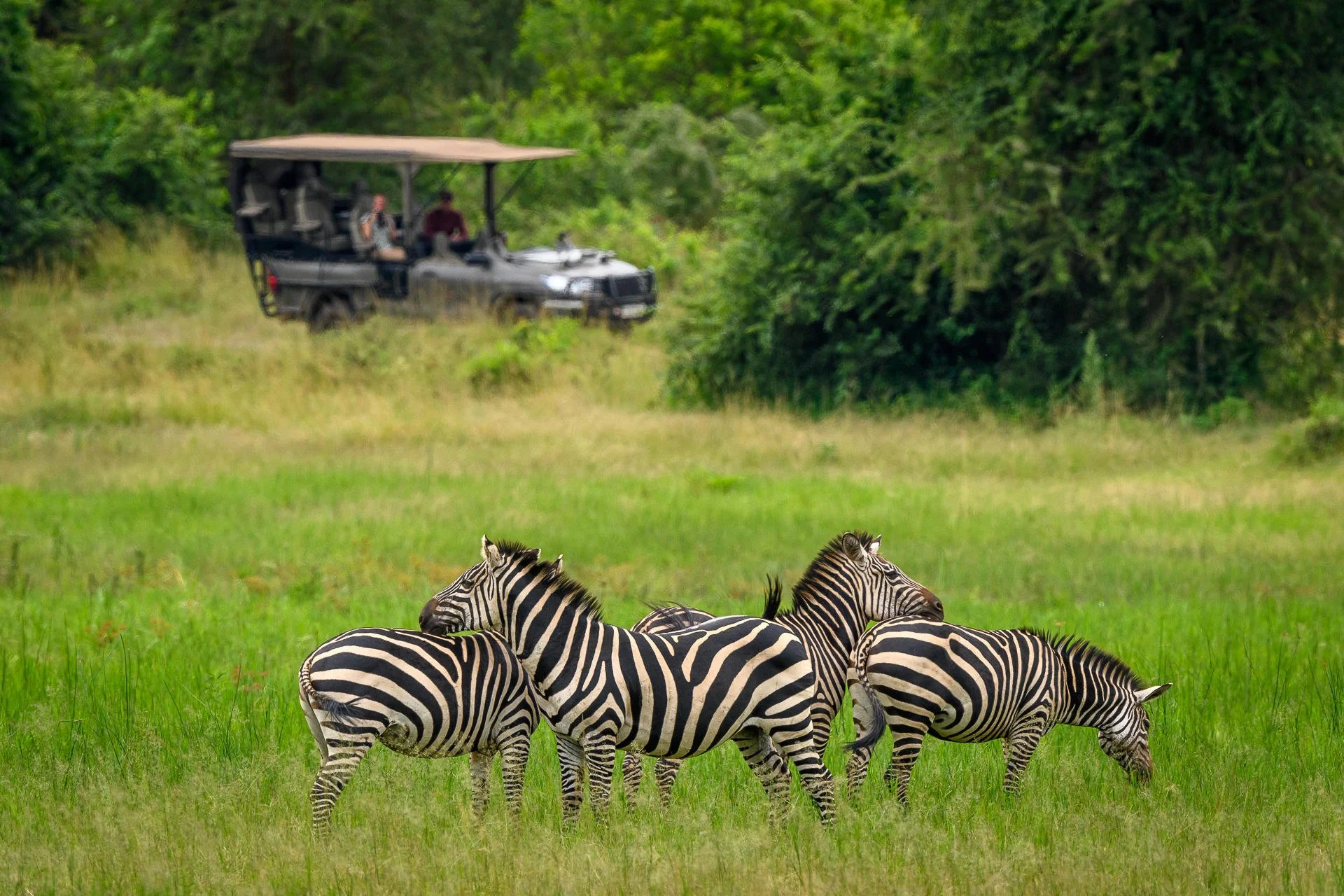 Magashi luxury safari camp in Akagera National Park Rwanda offering exclusive wildlife safari accommodation