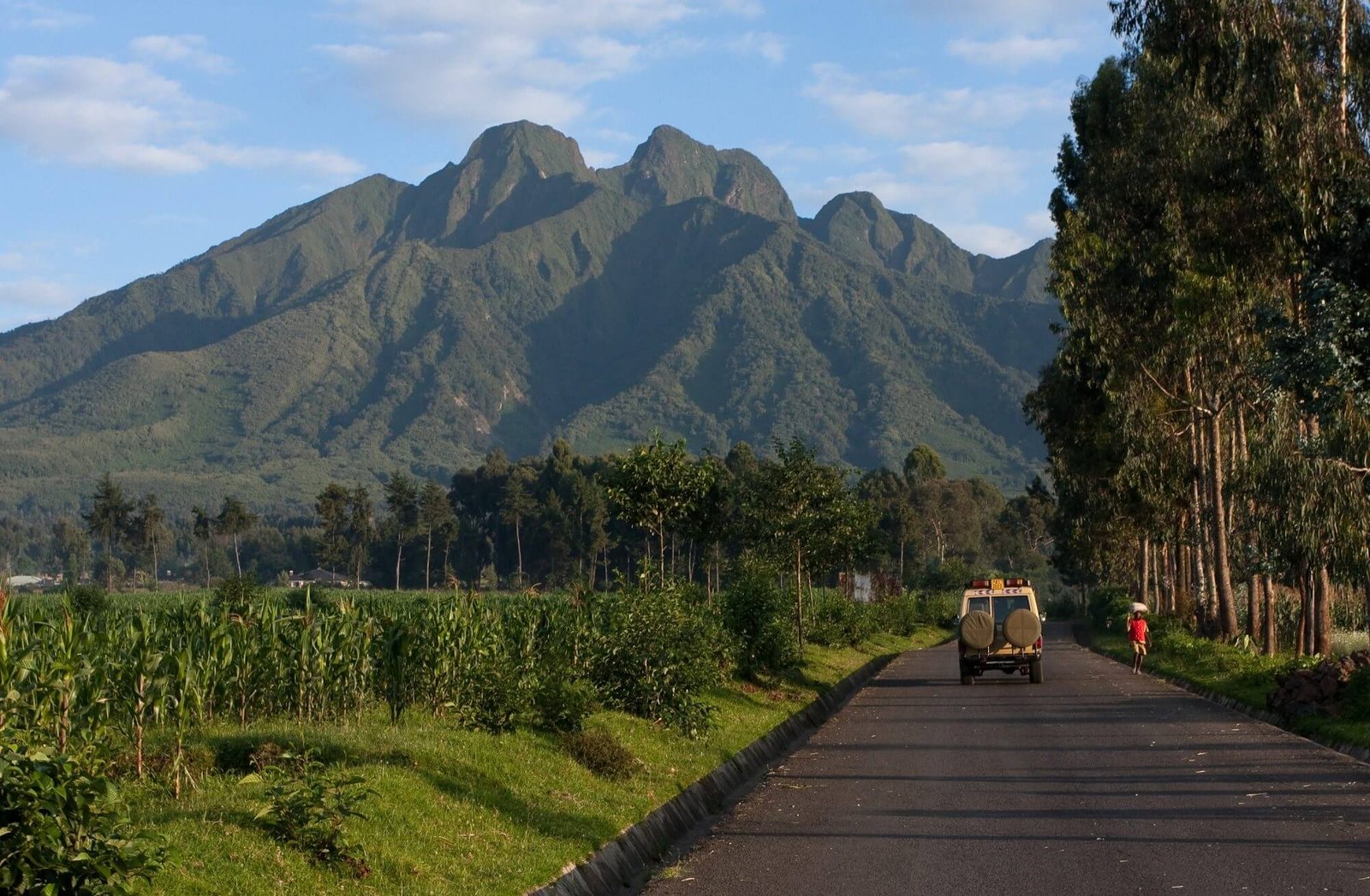 Volcanoes National Park Rwanda, a famous destination for mountain gorilla trekking and nature safaris