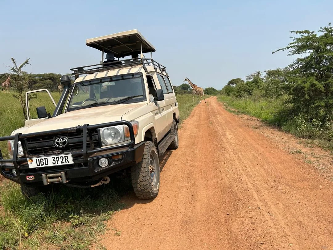 Safari travel experience in East Africa