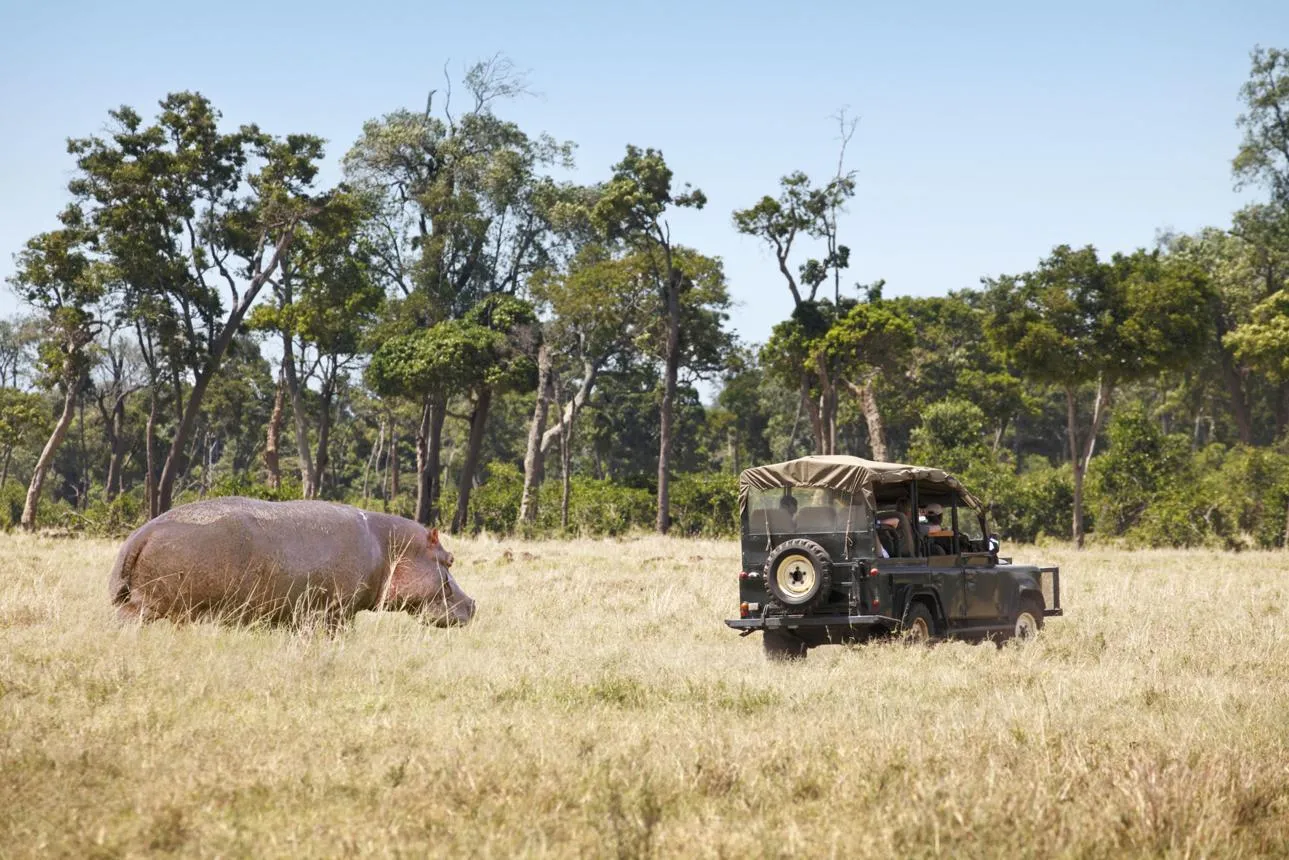 Big Five wildlife safari in Africa featuring lions, leopards, elephants, buffaloes and rhinoceroses