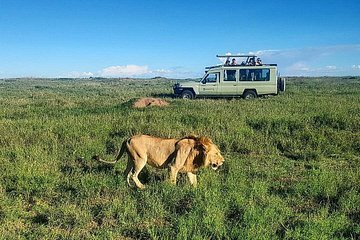 Rwanda travel and safari experience