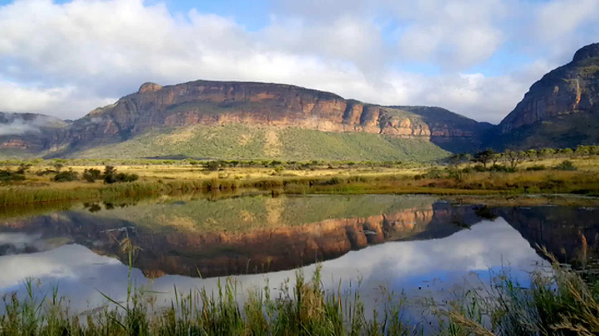 African safari travel and tourism photograph